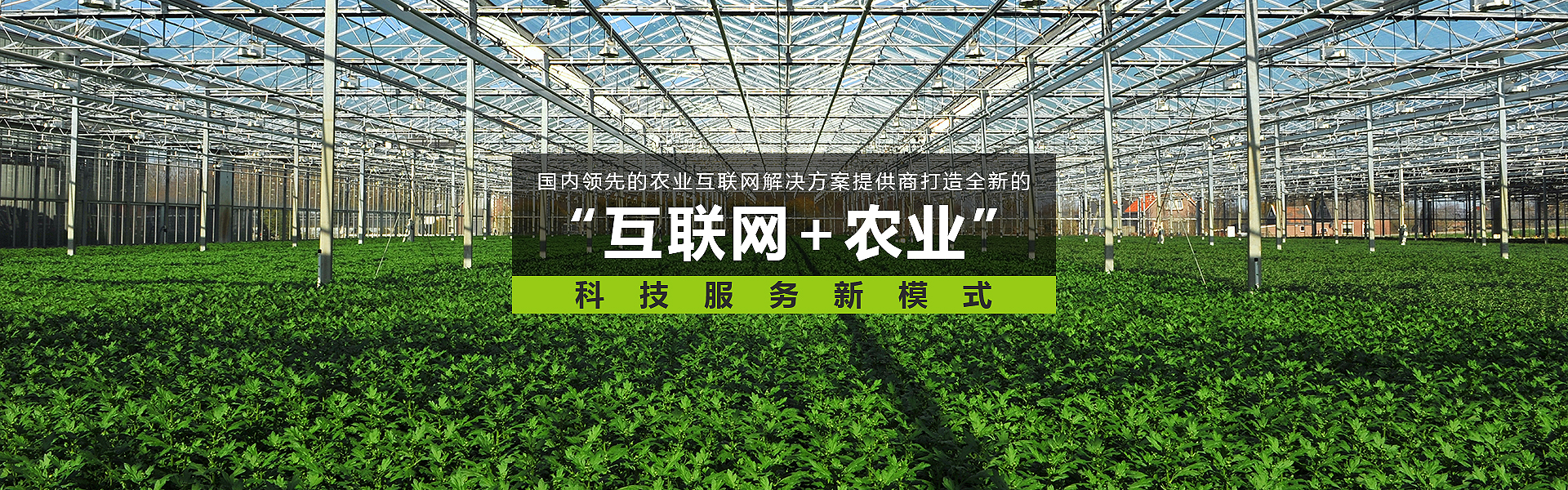 中山市沅力智能科技有限公司 中山市沅力智能科技有限公司